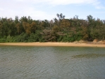 우쿠쿠비강